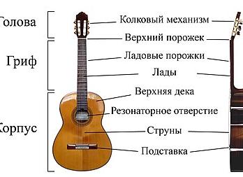 Где появилась гитара?
