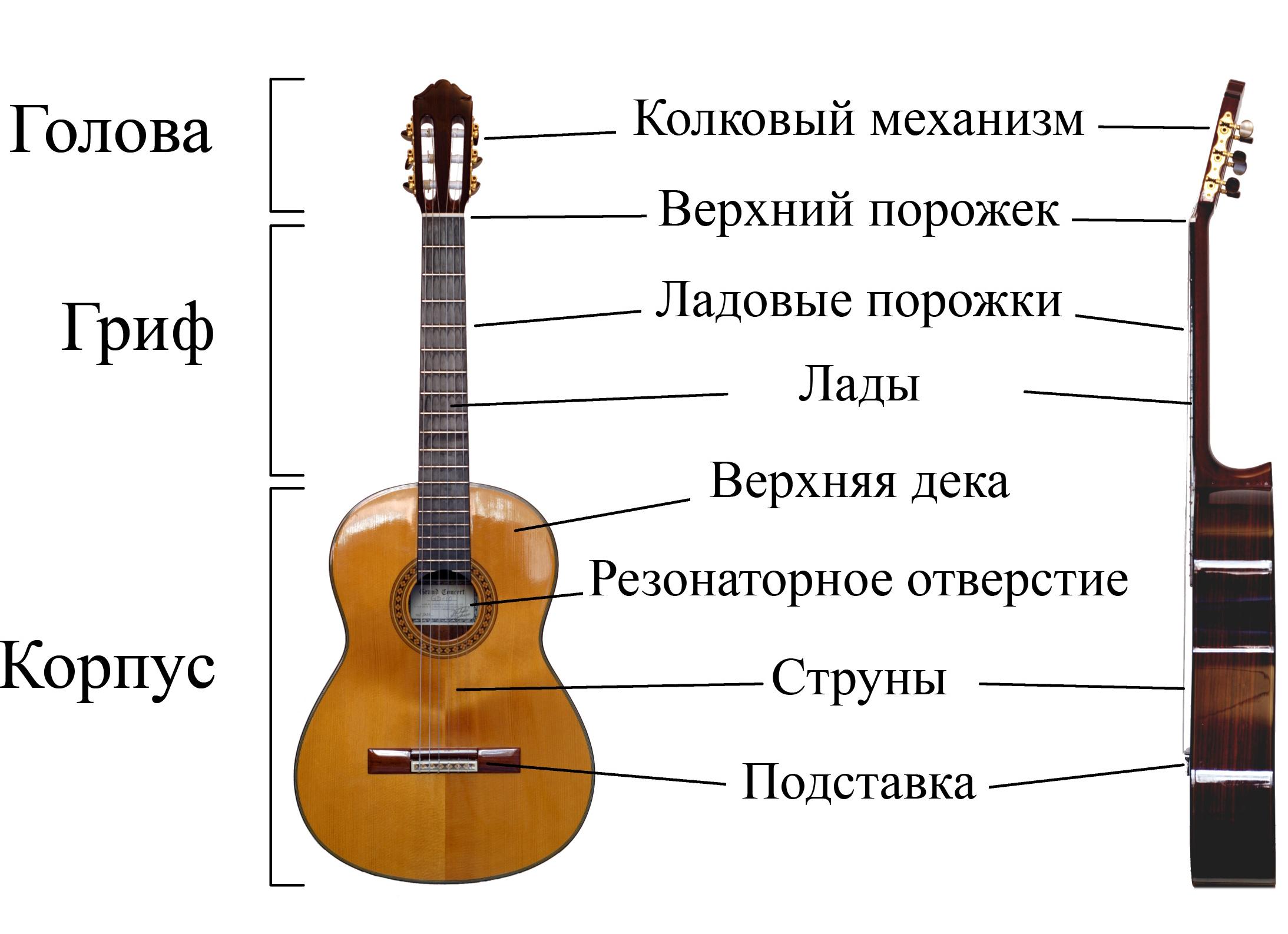 Гитарный гриф: конструкция и назначение