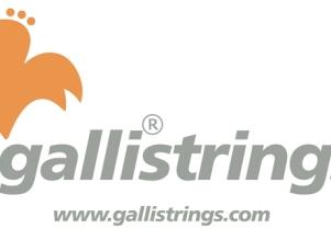 Струны Galli: история бренда и основные линейки